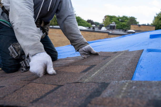 Best Storm Damage Roof Repair  in Earlysville, VA